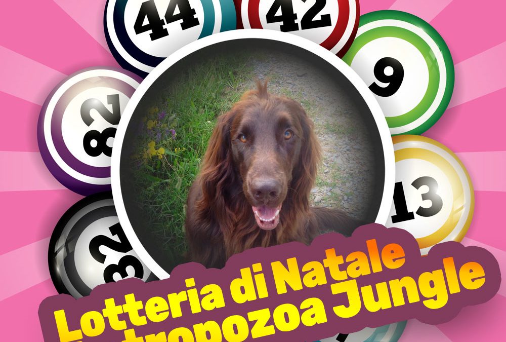 Lotteria Natale 2018 – Antropozoa Jungle