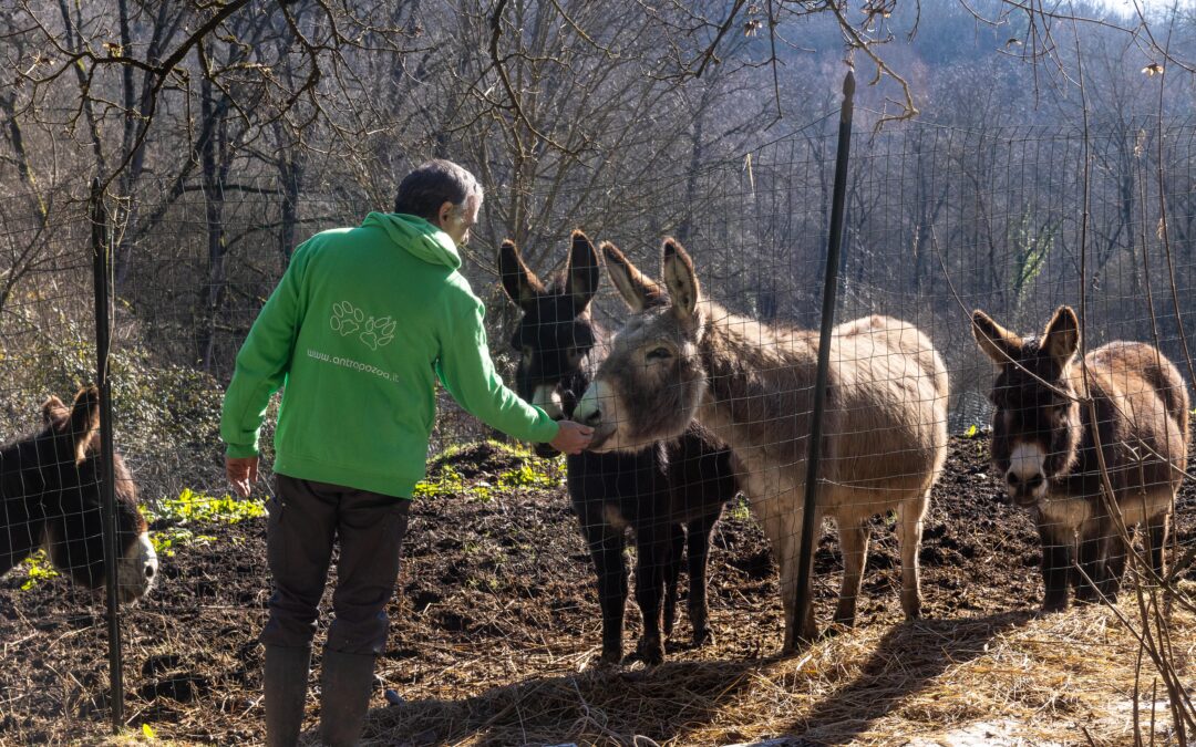 Il trauma incontra gli animali: la natura cura prima delle parole